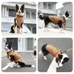 JoyDaog diseño con anillas en D y sellado de PVC para seguridad.