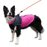 JoyDaog chaleco rosa frente, abrigo cálido para paseos invernales
