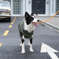 JoyDaog chaqueta con ajuste regulable, se adapta al torso del perro.