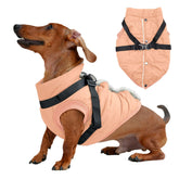 JoyDaog chaqueta para perro con arnés integrado para paseos más seguros.