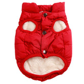 Chaqueta JoyDaog con forro felpa cálido para perros pequeños