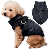 JoyDaog chaqueta para perro con arnes integrada, utilizada en paseos invernales.