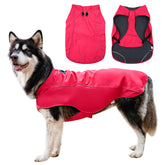 JoyDaog chaqueta impermeable para perro grande, vista frontal, ideal para días lluviosos