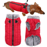 JoyDaog chaqueta roja para perro; vista frontal suave y cálida para paseos.
