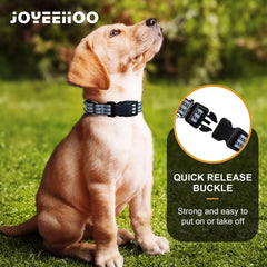 Joyeeiioo collar de nylon resistente para uso diario y entrenamiento.