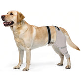 Joypig manga trasera para perro protege heridas y evita lamer