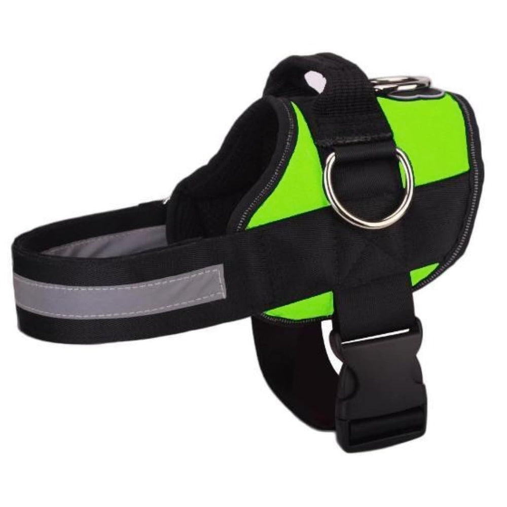 Joyride Basic Essential Harness muestra ajuste preciso para paseos cómodos.