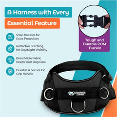 Joyride Basic Essential Harness ofrece durabilidad y seguridad durante las aventuras al aire libre.