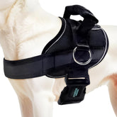 Joyride Harness 2.0: ajuste rápido para paseos cómodos y sin tirones.