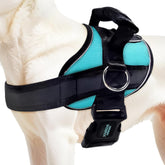 Joyride Harness 2.0 con ajuste rápido para paseos más cómodos.