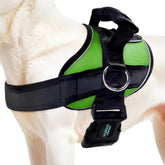 Joyride Harness 2.0, aro lateral visible para paseos sin tirones y control