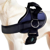 Joyride Harness 2.0 con clip frontal, diseño ergonómico para caminatas sin tirones