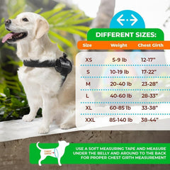 Joyride Harness 2.0: sistema de confort para control estable durante paseos.