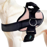 Joyride Harness 2.0: diseño lateral para un ajuste cómodo y suave.