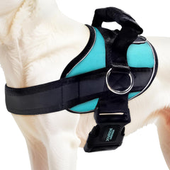 Joyride Harness 2.0 muestra la guía de tamaño para un ajuste cómodo y seguro
