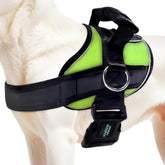 Joyride Harness 2.0 muestra la guía de tallas para un ajuste cómodo