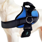 Joyride Harness 2.0 muestra la guía de tallas para ajuste perfecto.