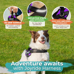 Joyride Harness 2.0: apto para perros de todos los tamaños.