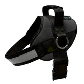 Joyride Harness ofrece ajuste-confort para paseos diarios y entrenamiento efectivo.