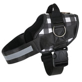 Joyride Harness ajuste-ideal ofrece confort durante paseos.