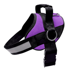 Joyride Harness muestra la guía de tallas en imágenes para un ajuste cómodo.