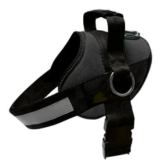 Arnés Joyride Harness con guía de tallas para ajuste cómodo y seguro durante paseos