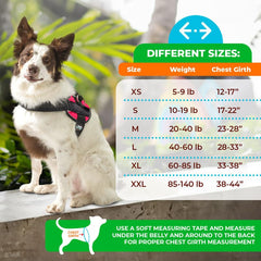 Joyride Harness muestra la liberación de presión para paseos más suaves.