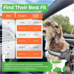 Joyride Harness tres-anillos-laterales para colocar la correa desde tres puntos