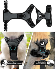 Arnés Joytale ajustable con dos hebillas para colocación rápida y cómoda