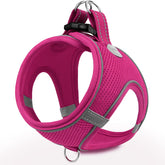 Arnés Joytale para cachorro pequeño con malla transpirable para paseos cómodos.