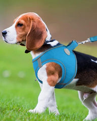Joytale arnés para perro con cierre rápido, seguridad sencilla durante el paseo.