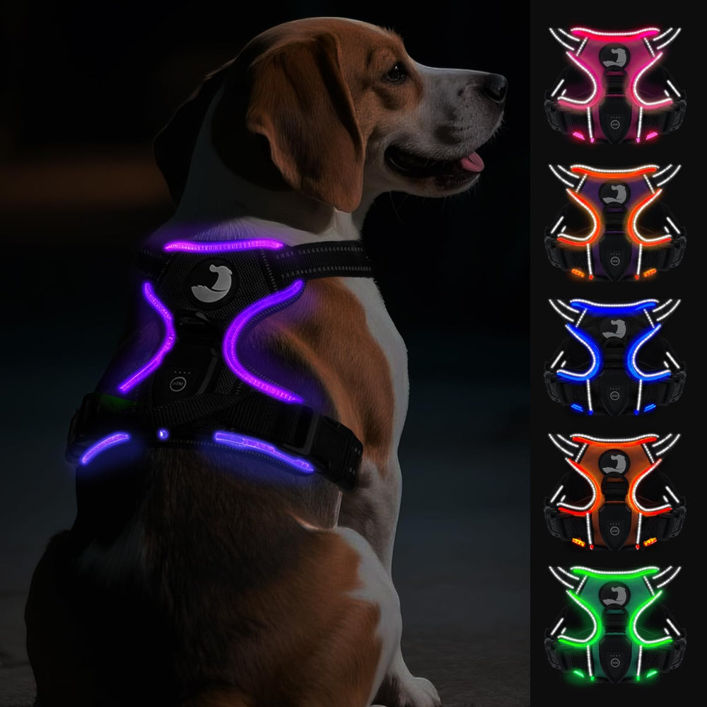 Joytale arnés para perro con luz trasera para paseos nocturnos.
