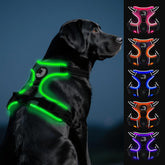 Joytale arnés luminoso para perro con luz trasera, visibilidad nocturna
