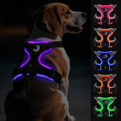 Joytale arnés para perro con luz trasera para paseos nocturnos.