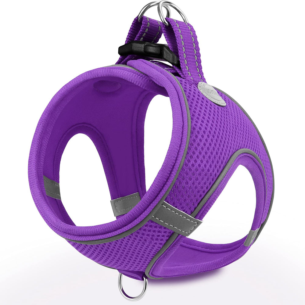 Joytale arnés para perro pequeño frente, cómodo para paseos diarios.