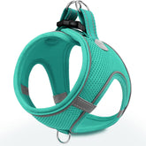 Arnés Joytale para perro pequeño con malla de aire, cómodo para paseos.