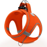 Arnés Joytale para perro pequeño con malla transpirable, cómodo para paseos largos.