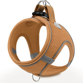 Arnés Joytale para perro pequeño con malla transpirable, cómodo para paseos prolongados