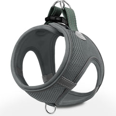 Joytale arnés para perro pequeño con malla transpirable, cómodo para paseos largos