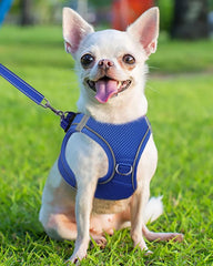 Joytale arnés para perro pequeño con tiras reflectantes para mayor visibilidad nocturna.