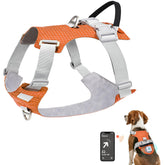 Joytale arnés para perro sin tirones, vista frontal para paseos diarios.