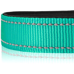 Cierre ABS para ajuste rápido en el collar Joytale.