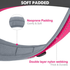 Collar Joytale ajustable con neopreno para paseos seguros y cómodos.