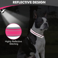 Collar Joytale con hebilla de metal resistente para uso activo.