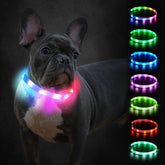 Collar Joytale LED para perros encendido, alta visibilidad nocturna para paseos.