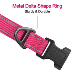 Collar Joytale XL ajustable en hotpink para perros grandes activos.