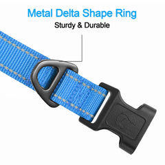 Joytale collar con anilla D metálica, diseño duradero para paseos diarios.
