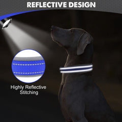 Hebilla metálica resistente Joytale para paseos activos