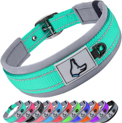 Collar Joytale con neopreno acolchado para paseos más cómodos y amortiguación