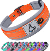 Collar Joytale para perros grandes con acolchado de neopreno, cómodo y absorbe tirones.